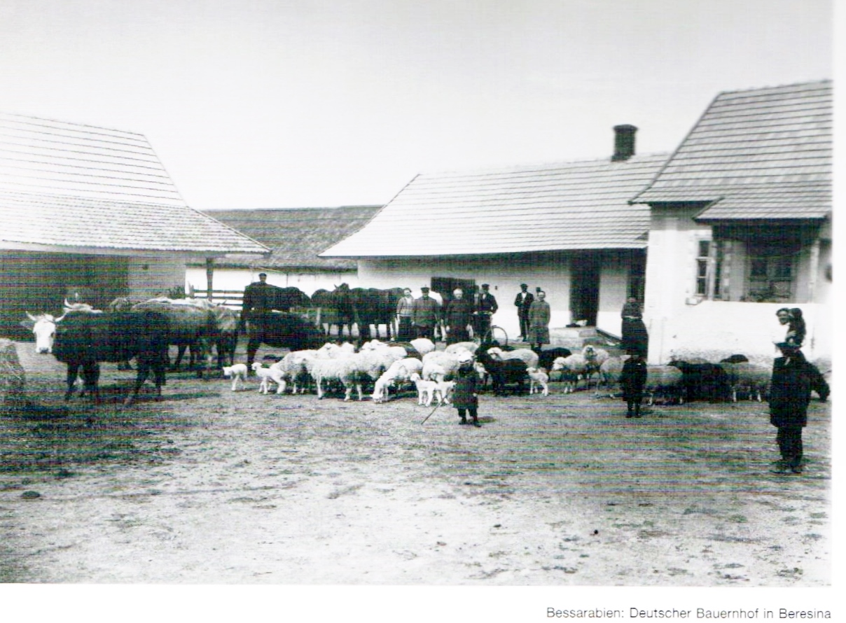 Tierzucht auf dem Bauernhof