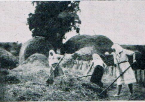 Frauen auf dem Feld in Brienne