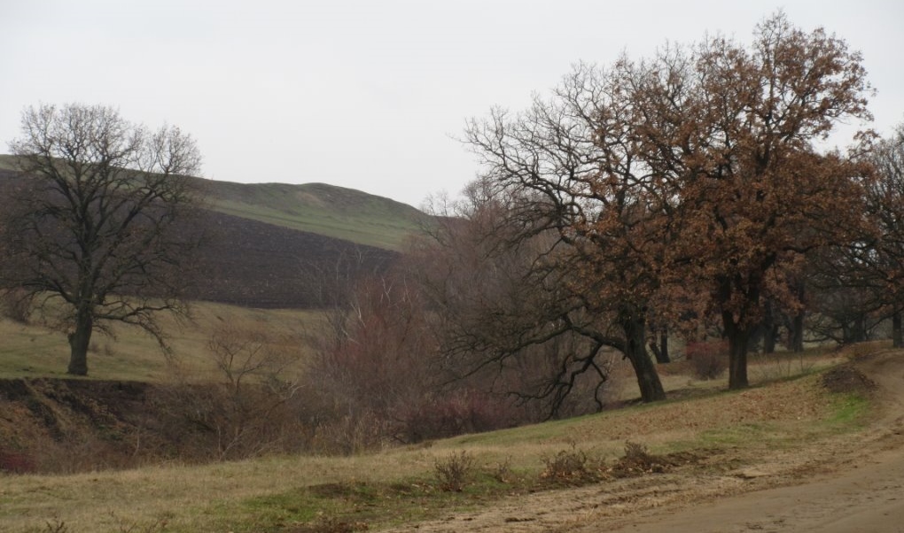 Landschaft Bessarabien, Eichendorf